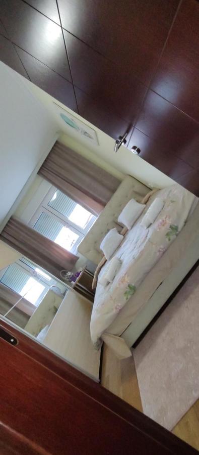 Apartman Mali Raj Vrnjačka Banja Exteriér fotografie